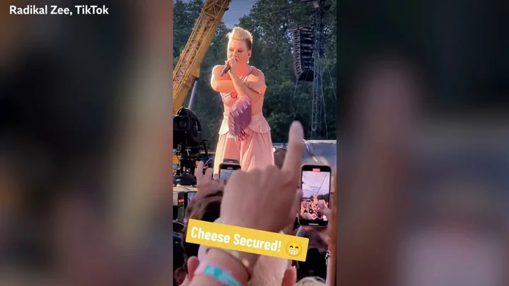 Bizarre moment Pink is handed giant wheel of brie by fan at London concert