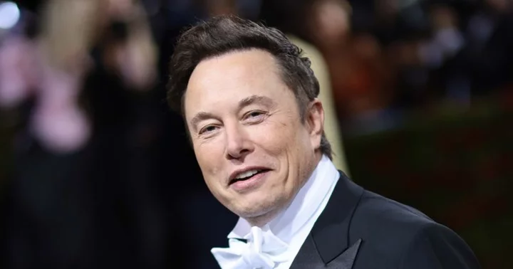 Is Elon Musk changing Twitter logo? Internet says 'someone stop this man' as Tesla CEO bids goodbye to 'all the birds'