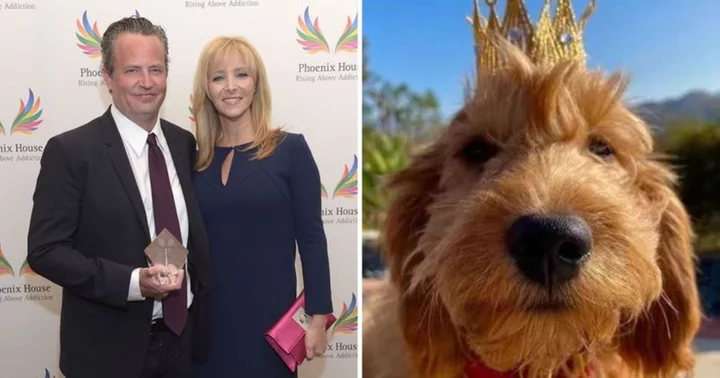 Where is Matthew Perry's dog? Lisa Kudrow wants to adopt late 'Friends' co-star and close friend's pet Alfred