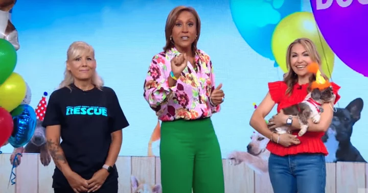 What is ‘Dogust First’? 'GMA' host Robin Roberts celebrates shelter dogs' official birthday, encourages viewers to 'adopt, don’t shop'