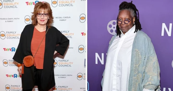 'Whoopi said something about the glasses’: ‘The View’ star Joy Behar recalls co-host's bizarre off-air request to fan