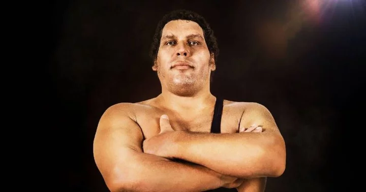 How tall was Andre the Giant? Internet claims French wrestler's 'height is a lie'
