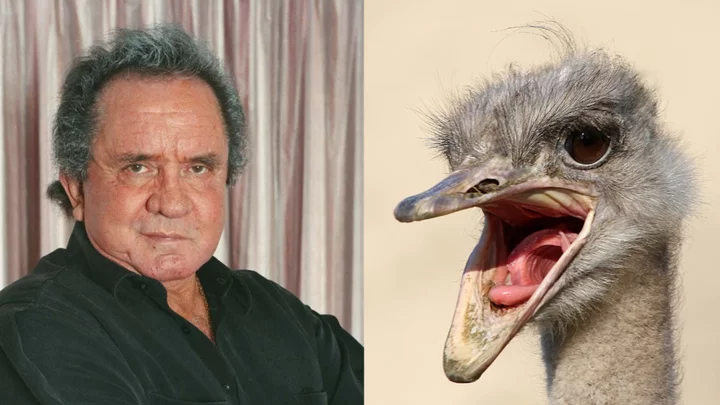 Angry Bird: When Waldo the Ostrich Tried to Kill Johnny Cash
