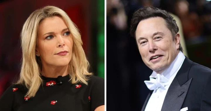 'Protect free speech': Internet agrees as Megyn Kelly backs X and Elon Musk against 'vile' and 'dishonest' Media Matters