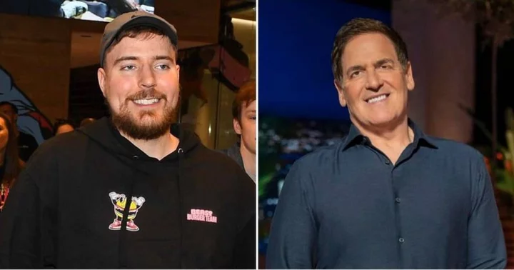 MrBeast asks Mark Cuban for $1M, fans claim 'Shark Tank' investor 'lost the best deal of his life'