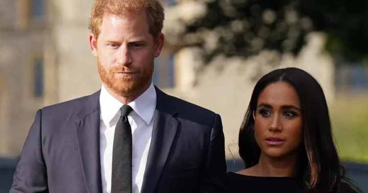 Who owns Archetypes LLC? Arizona company puts skids on Meghan Markle and Prince Harry's trademark attempt
