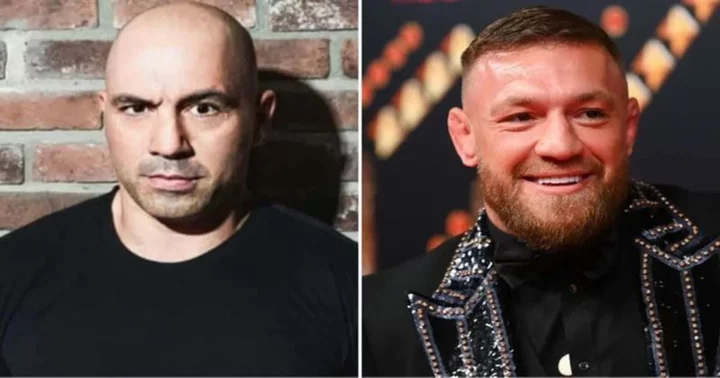 Joe Rogan mesmerized by Conor McGregor's 'genius': 'He worked on the exact same thing'