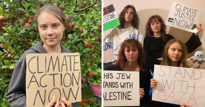 Greta Thunberg feels the heat for pro-Gaza post, but 'antisemitic' octopus leaves Internet bewildered