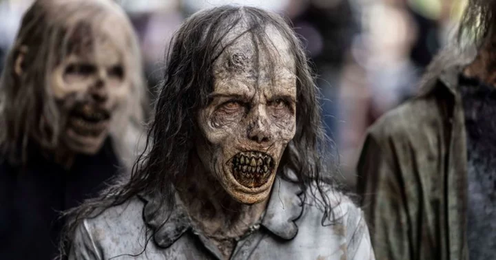 What is ‘The Walking Dead: Dead City’ about? Plot of AMC's horror series explained