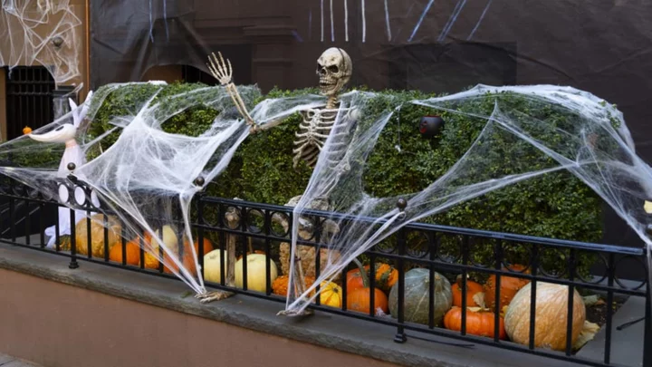Why You Shouldn’t Put Out Fake Spider Webs This Halloween