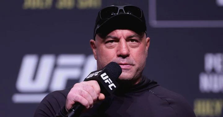Joe Rogan recalls when he was Knocked out during an MMA fight: 'My legs just shut off'