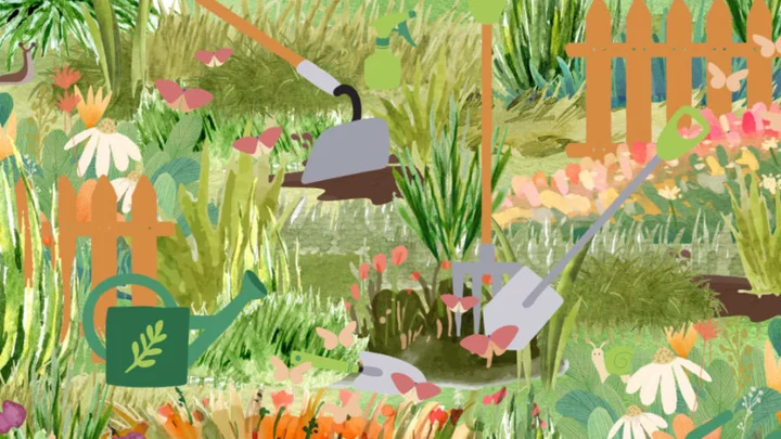 Can You Spot the Slug and Snail in This Garden Brainteaser?
