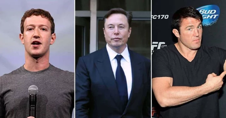 Will Mark Zuckerberg fight Elon Musk? UFC fighter Chael Sonnen discusses potential cage fight between tech billionaires