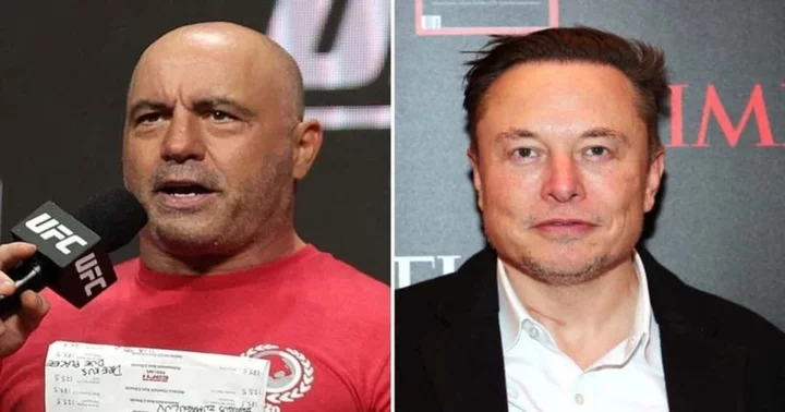 Joe Rogan gets candid about Elon Musk's X acquisition: 'Not one place where you could talk s**t'