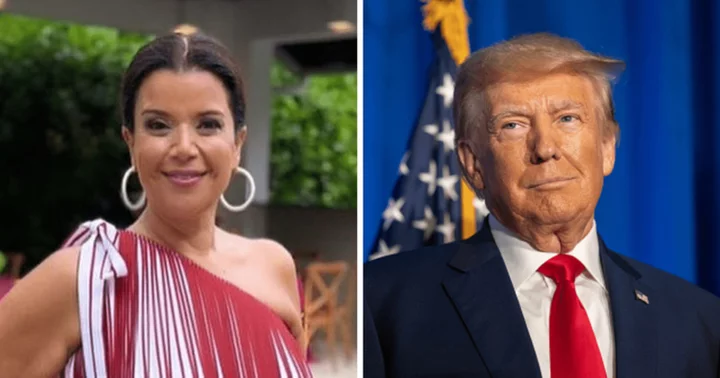 'The View' co-host Ana Navarro shares Donald Trump memes on social media following his indictment