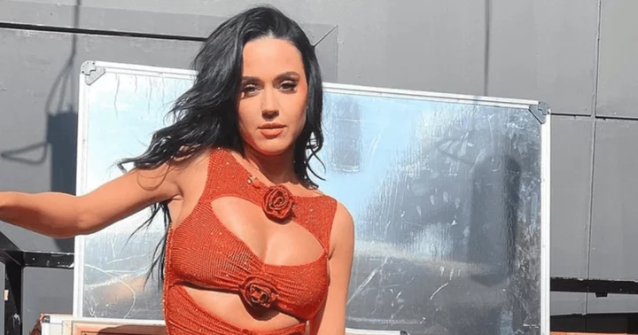 Fans miss 'singer Katy Perry', slam 'American Idol' judge for 'spamming social media' with brand promotion