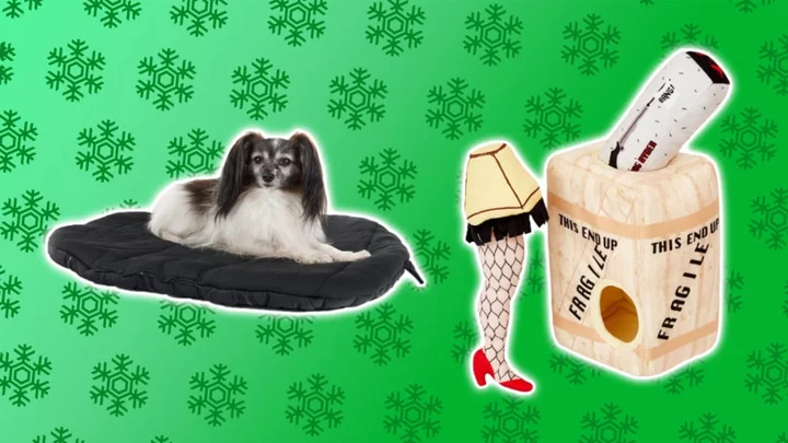 13 Thoughtful Holiday Gifts for Your Dog
