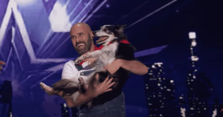'They have to go to the finale': 'AGT' Season 18 fans dub Adrian Stoica and Hurricane as 'the best pet' act on NBC show