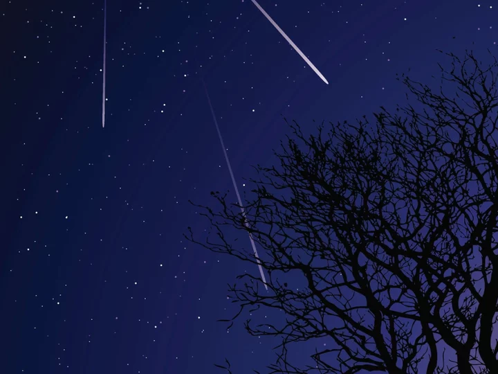 Perseids 2023: Meteor beacon offers unique way to observe spectacular shower over UK