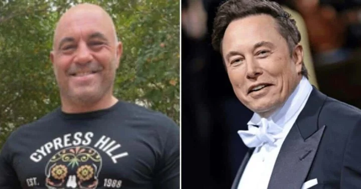 Joe Rogan and Elon Musk blast MSNBC over 'far-right's fitness obsession' tweet: 'You’re a Nazi if you work out'