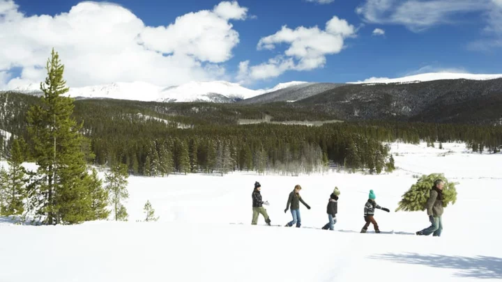 These U.S. National Forests Let You Chop Down a Christmas Tree for $10 or Less