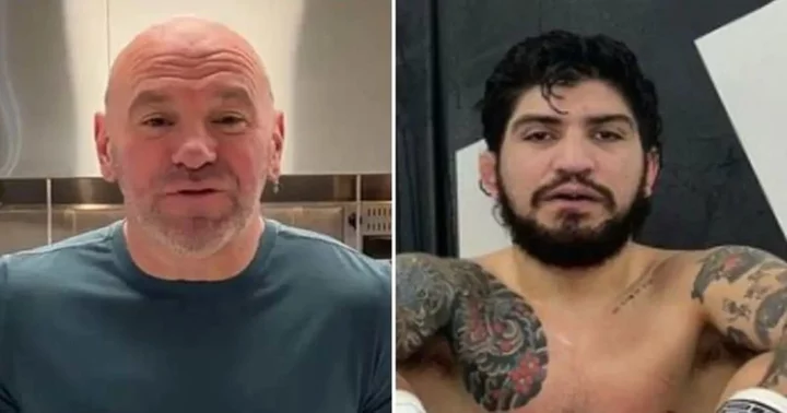 Dana White explains why Dillon Danis may never compete in UFC: 'Every time he's around, s**t's going down'