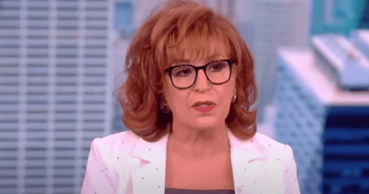 'A small hiatus': Joy Behar recalls being 'forced' off 'The View' with a snarky remark