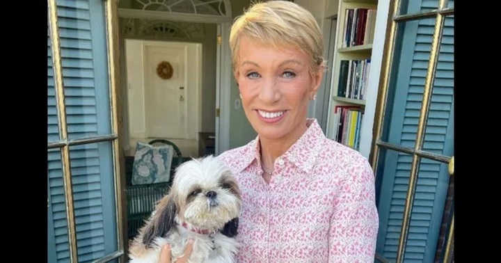 Who created The Comfy? 'Shark Tank' judge Barbara Corcoran made a whopping $468M from investing in product
