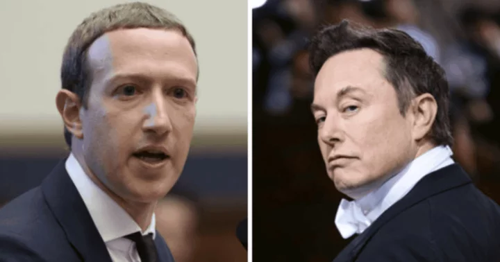 Is Mark Zuckerberg up for cage fight against Elon Musk? Facebook founder reacts to much-anticipated clash, says he's 'all ready'