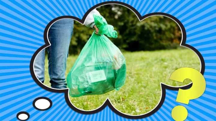 How Long Does It Really Take for a Plastic Bag to Decompose?