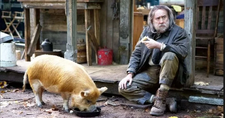When Nicholas Cage feared a 'sepsis from a pig bite' could kill him in the sets of 'Pig'
