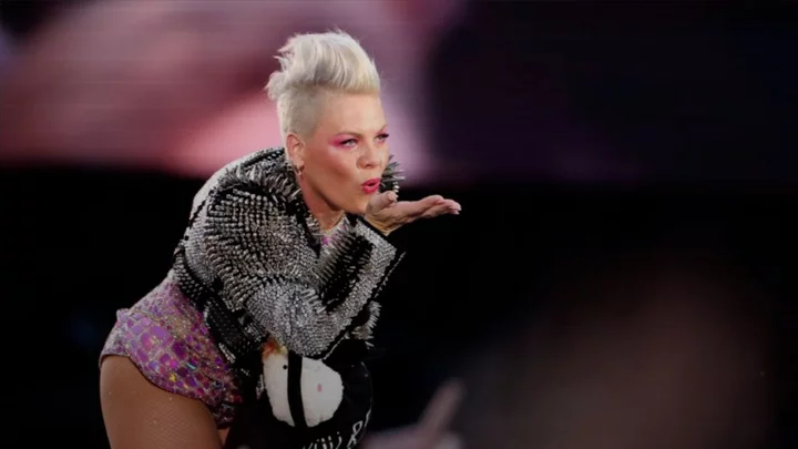 Pink shuts down troll who compares her to Suzy Eddie Izzard: 