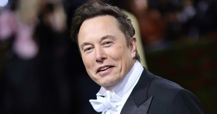 'No need to defend yourself': Internet rallies behind Elon Musk as he blasts antisemitic allegations