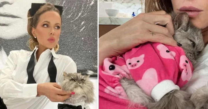 Kate Beckinsale 'totally broken' as she mourns the loss of her beloved cat Clive, fans say 'he was a special soul'