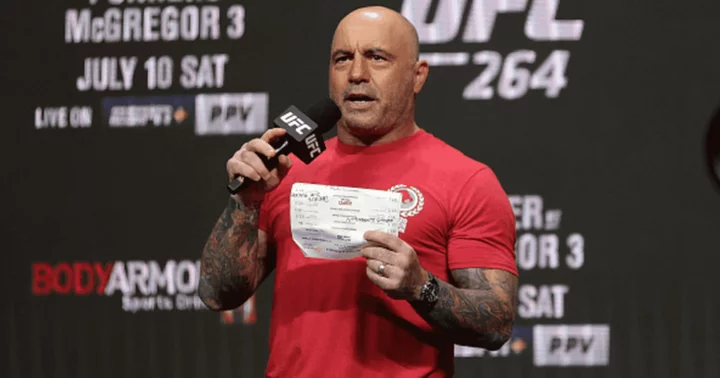 Joe Rogan: Lifelong martial artist reveals challenges in combat sports, says 'people who get f**ked up.. that's real'