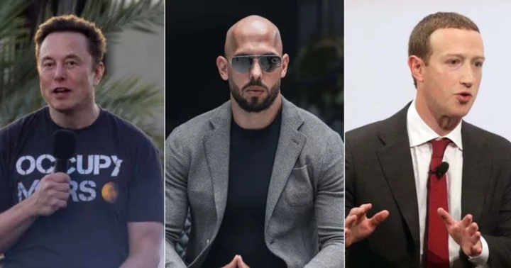 Andrew Tate extends MMA mentorship to Elon Musk to take on 'enemy' Mark Zuckerberg following Instagram ban: 'We can restore honor'
