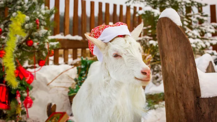 Bleat Along to Classic Holiday Tunes With This Goat Christmas Album