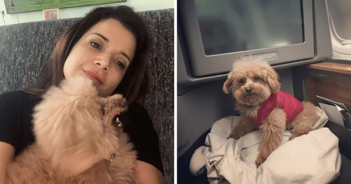 'The View' host Ana Navarro shares her advice for traveling with pets around the world: 'You gotta have enough food'
