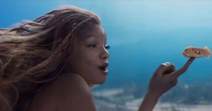 'The Little Mermaid': Halle Bailey's stunning hair transformations come at a hefty price of $150,000