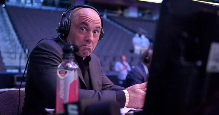 Joe Rogan has no regrets about going bald in 2011: 'I’m lucky I have a good head'