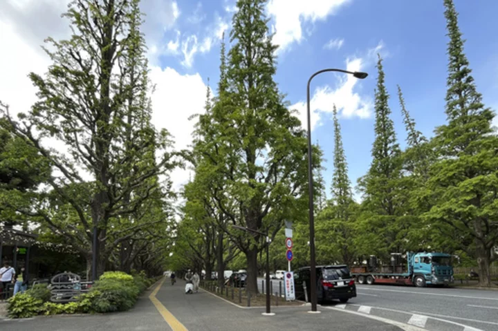 Haruki Murakami pleads for keeping Tokyo park and baseball stadium that inspired his writing