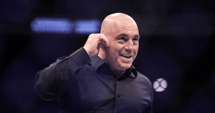 Joe Rogan accuses government of demolishing family businesses: 'They just took the decision out of people’s hands'