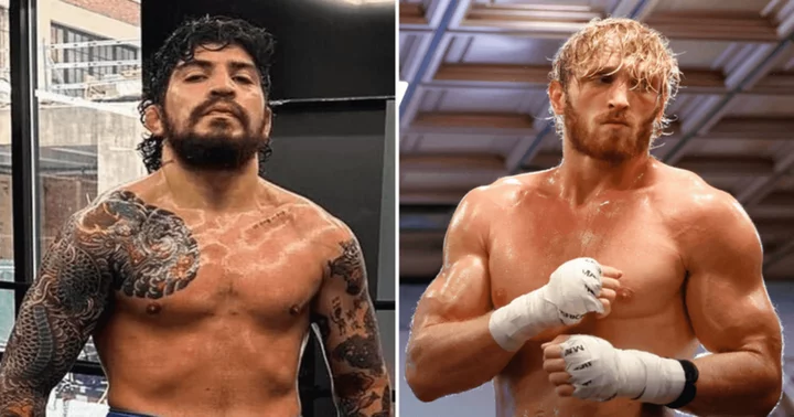 Dillon Danis vs Logan Paul: Brazilian jiu-jitsu champion threatens to 'choke' MMA fighter during boxing match: 'Might put him to sleep'