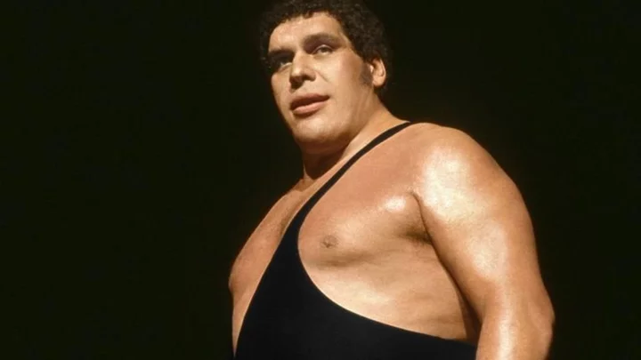 Andre the Giant once did the 'world's biggest poo' on a plane leaving passengers gagging