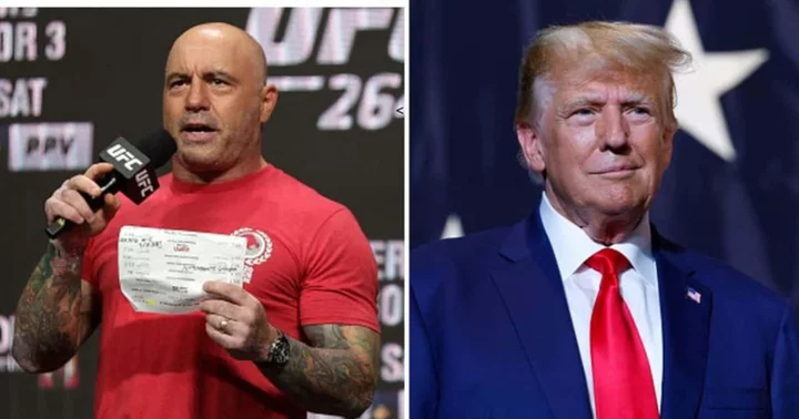 When Donald Trump backed Joe Rogan over racism accusations, slammed ‘hurtful’ label: 'Everybody is called racist’