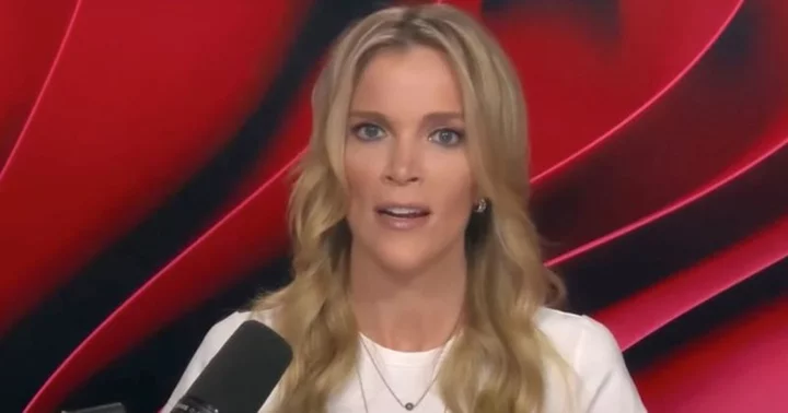 'Welcome to the fight': Megyn Kelly praises rich donors for defunding top US universities supporting Hamas and Palestine