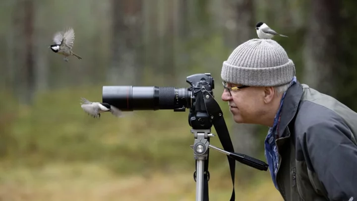 These Are America's 20 Best Cities for Birdwatching