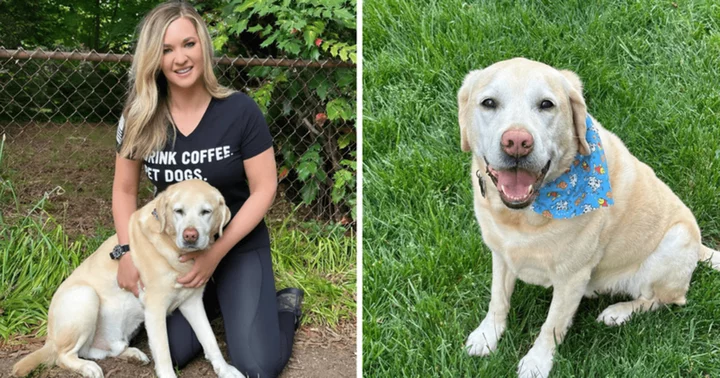 What is Katie Pavlich’s dog Gadsden named after? ‘The Five’ host reveals her pet’s name is taken from a significant time in history