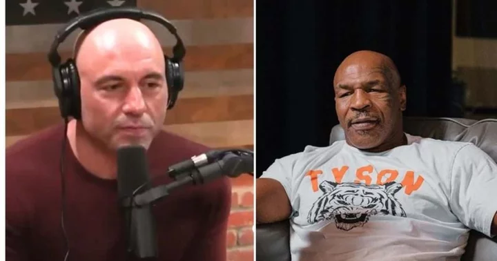 When Joe Rogan backed Mike Tyson over his altercation with 'annoying' fan: 'It’s like headbutting a beehive'