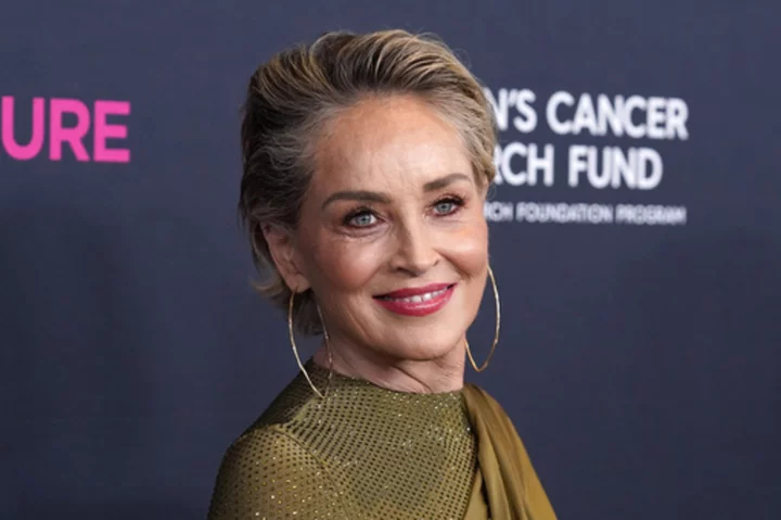 Sharon Stone says health issues slowed her acting career so she's expressing herself through paint